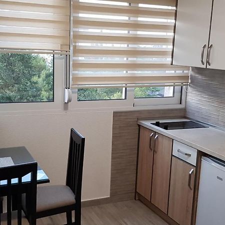 Renta stan- aprtman odmor Apartment Podgoriţa Exterior foto